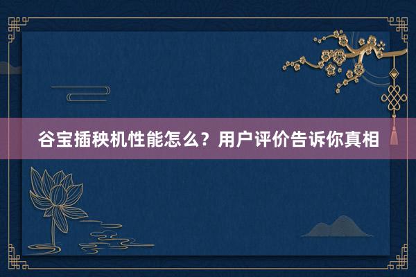 谷宝插秧机性能怎么？用户评价告诉你真相