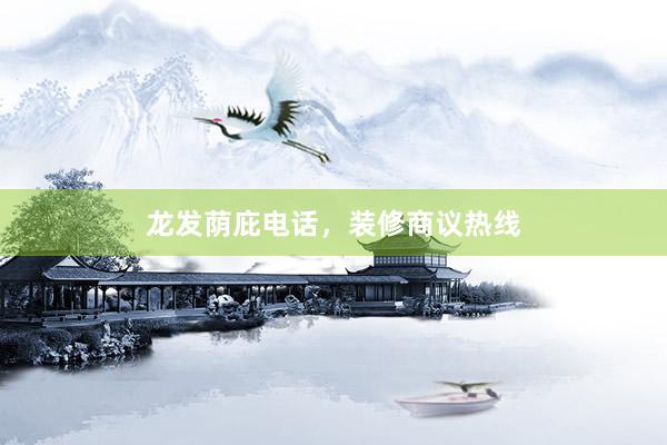 龙发荫庇电话，装修商议热线