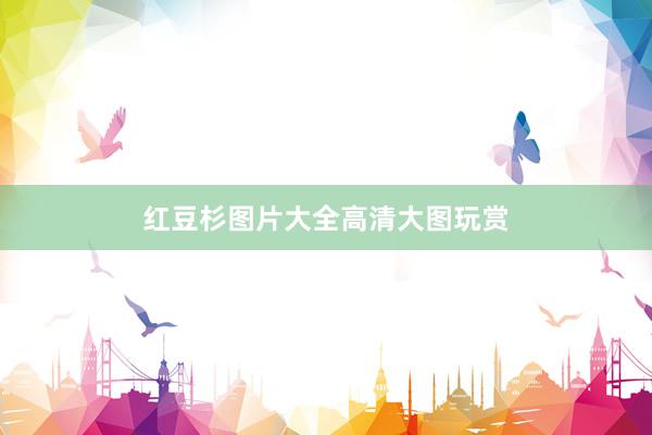 红豆杉图片大全高清大图玩赏