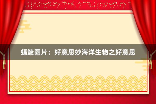 蝠鲼图片：好意思妙海洋生物之好意思