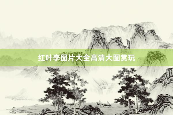红叶李图片大全高清大图赏玩